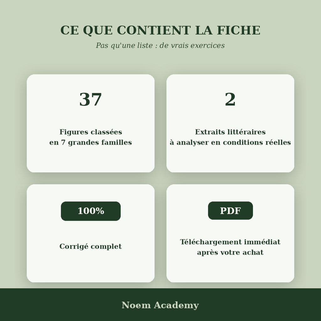 Fiche Figures de style + 2 exercices