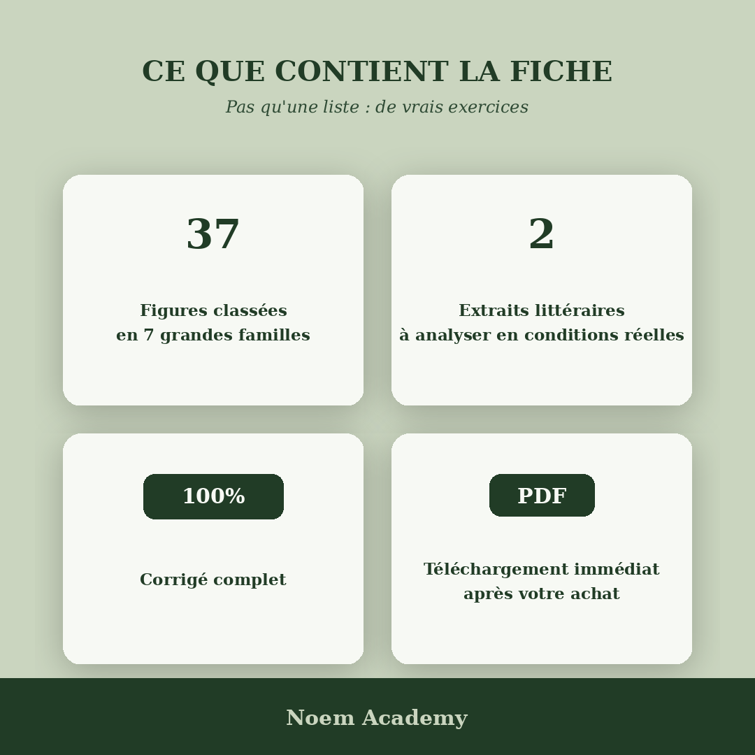 Fiche Figures de style + 2 exercices