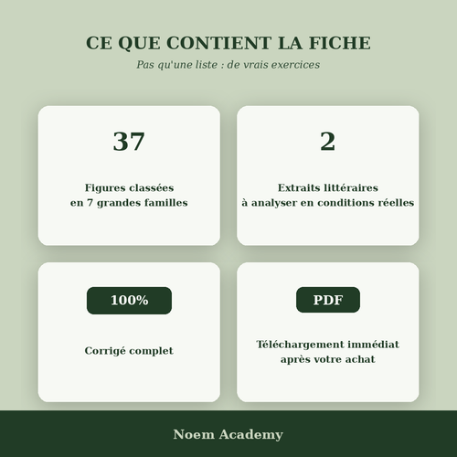 Fiche Figures de style + 2 exercices