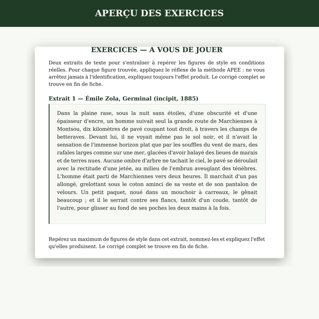 Fiche Figures de style + 2 exercices