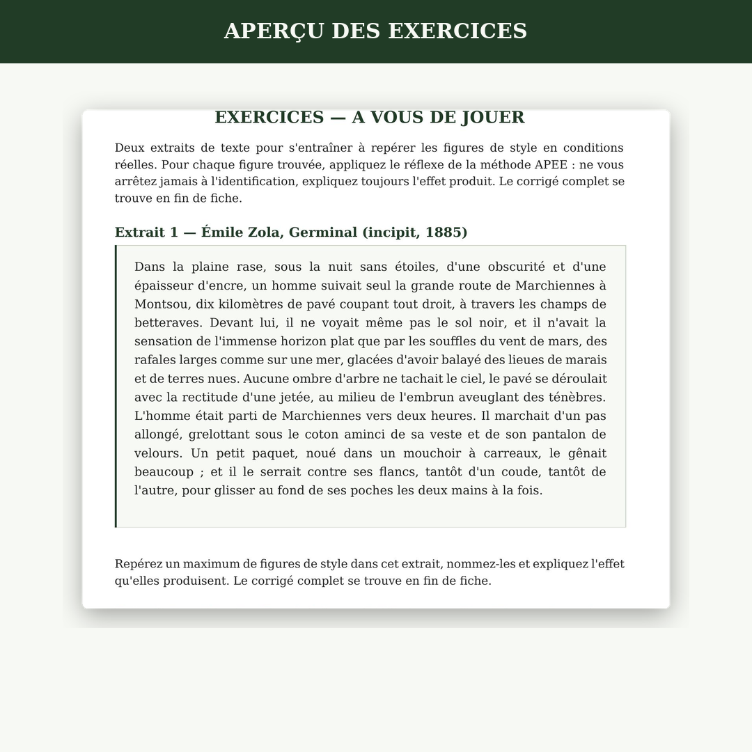 Fiche Figures de style + 2 exercices